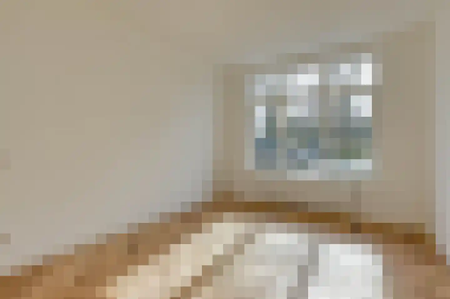 Mient 237 Den Haag thumbnail 48