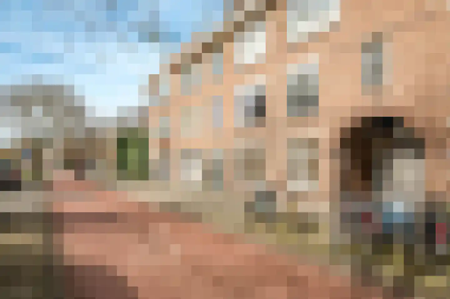 Mient 237 Den Haag thumbnail 56