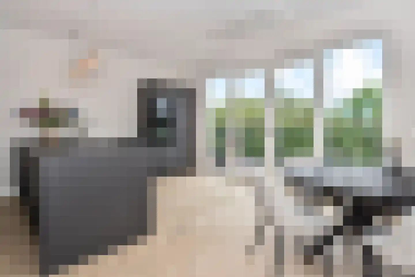 Mient 249 Den Haag thumbnail 26