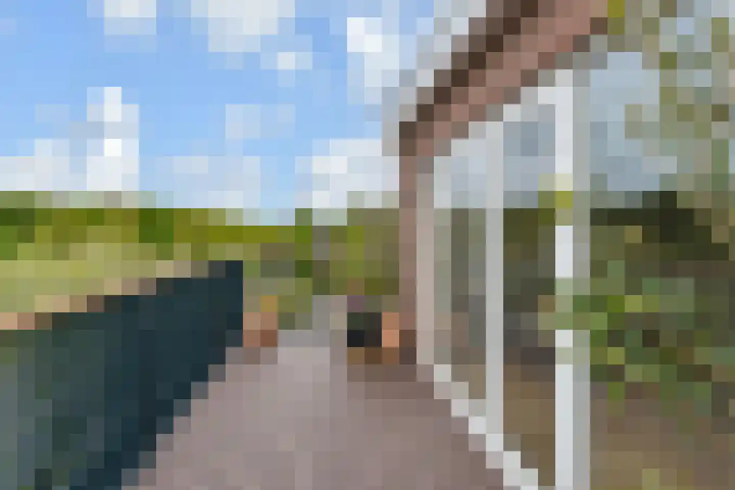 Mient 249 Den Haag thumbnail 30