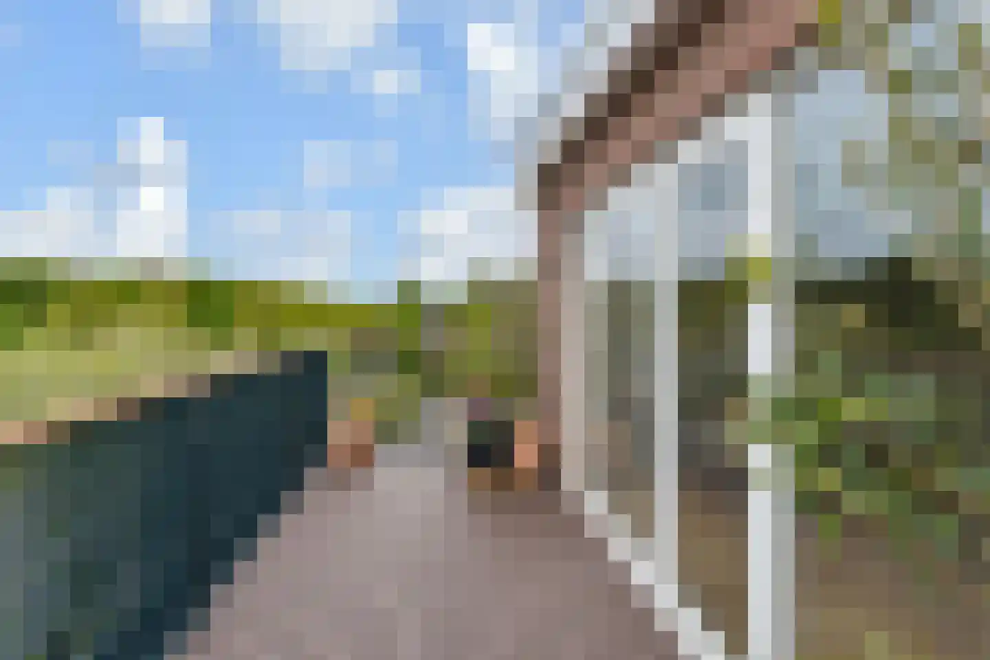 Mient 249 Den Haag thumbnail 31
