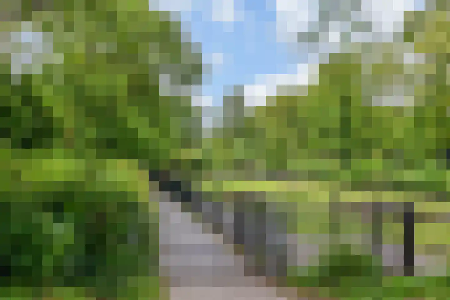Mient 249 Den Haag thumbnail 33
