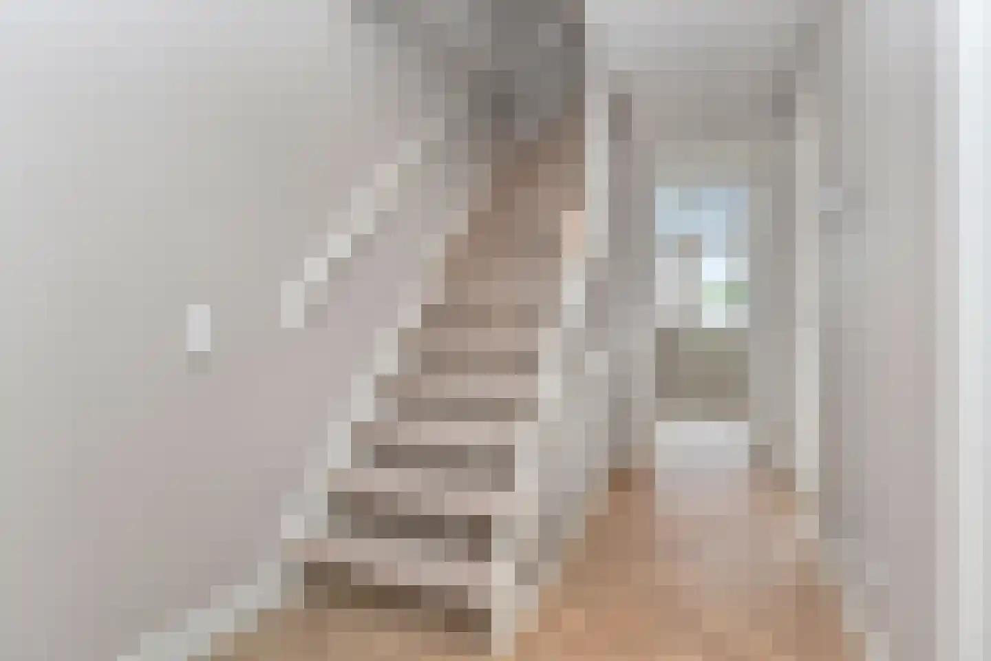 Mient 249 Den Haag thumbnail 6