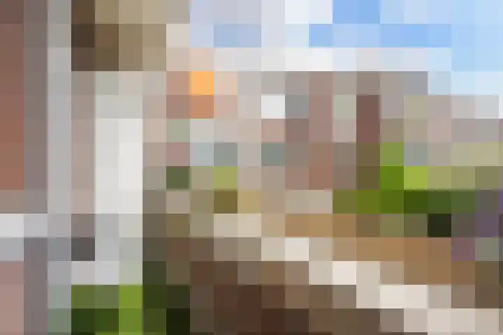 Mient 290 Den Haag thumbnail 24