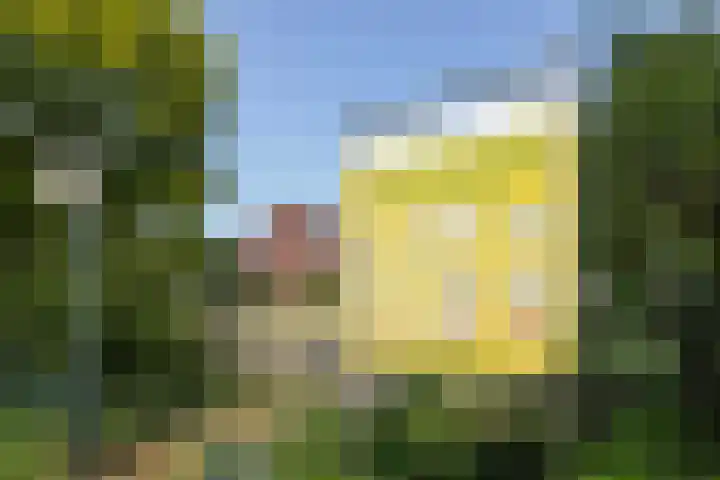 Mient 290 Den Haag thumbnail 42