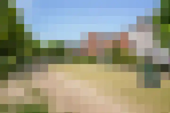 Mient 290 Den Haag thumbnail 43