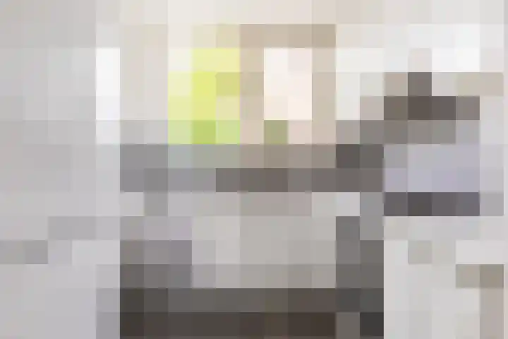 Mient 30 Vijfhuizen thumbnail 11