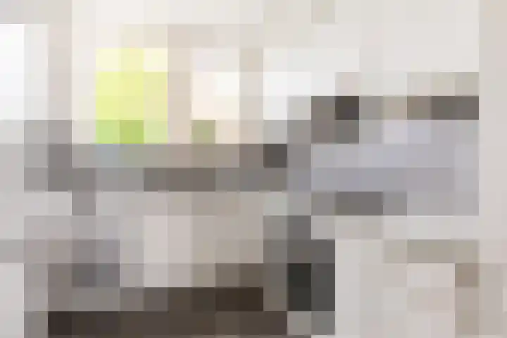 Mient 30 Vijfhuizen thumbnail 12