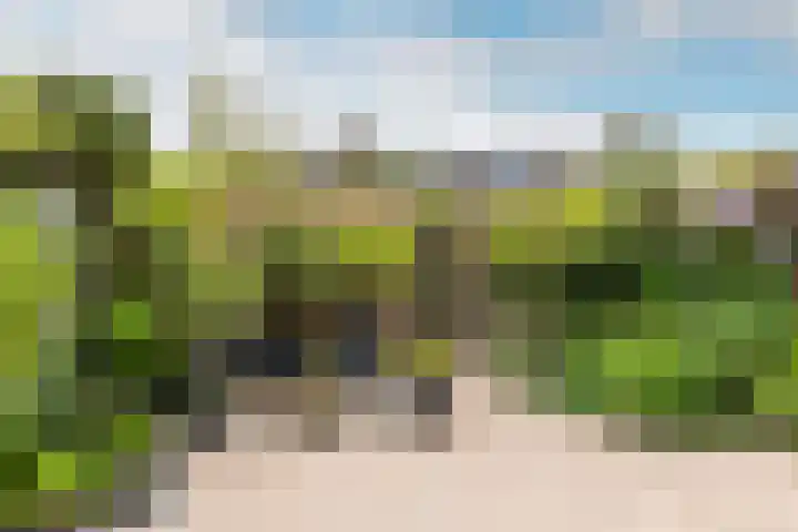 Mient 30 Vijfhuizen thumbnail 13
