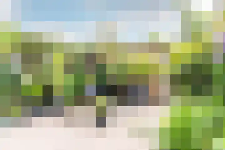 Mient 30 Vijfhuizen thumbnail 14