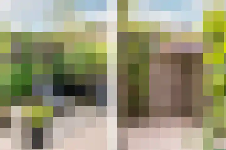 Mient 30 Vijfhuizen thumbnail 15