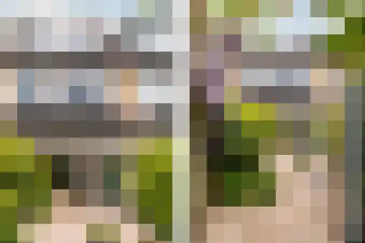 Mient 30 Vijfhuizen thumbnail 17