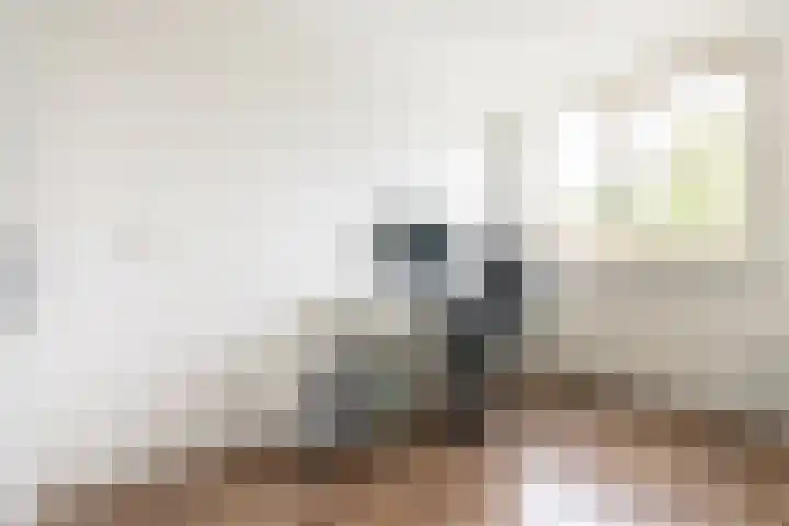 Mient 30 Vijfhuizen thumbnail 22