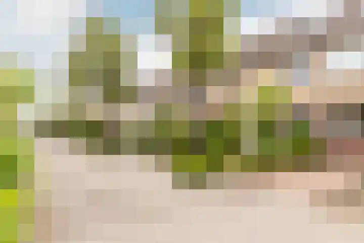 Mient 30 Vijfhuizen thumbnail 30
