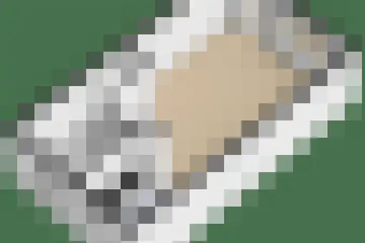 Mient 30 Vijfhuizen thumbnail 35