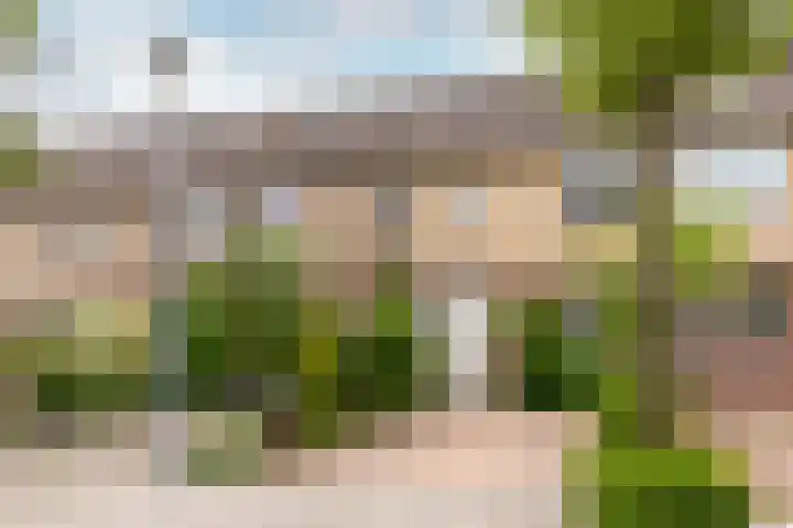 Mient 30 Vijfhuizen thumbnail 5