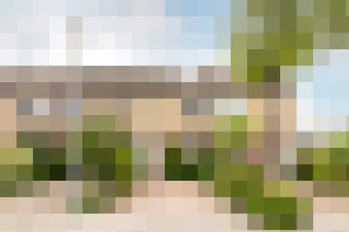 Mient 30 Vijfhuizen thumbnail 6