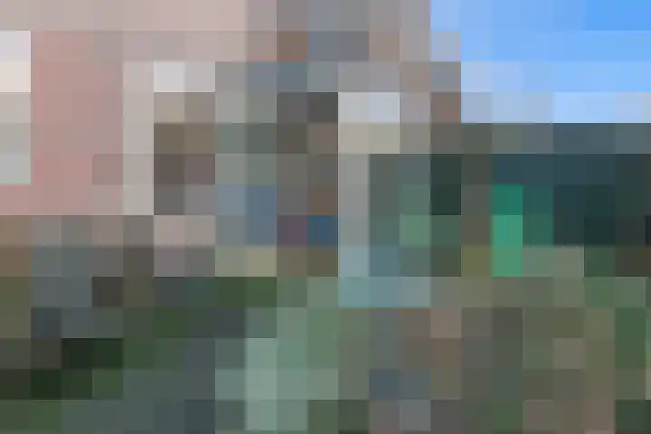 Mient 37 Den Haag thumbnail 37