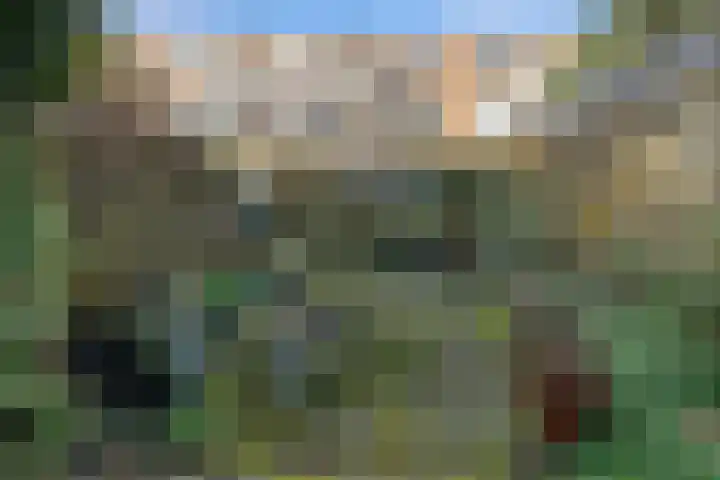 Mient 37 Den Haag thumbnail 38