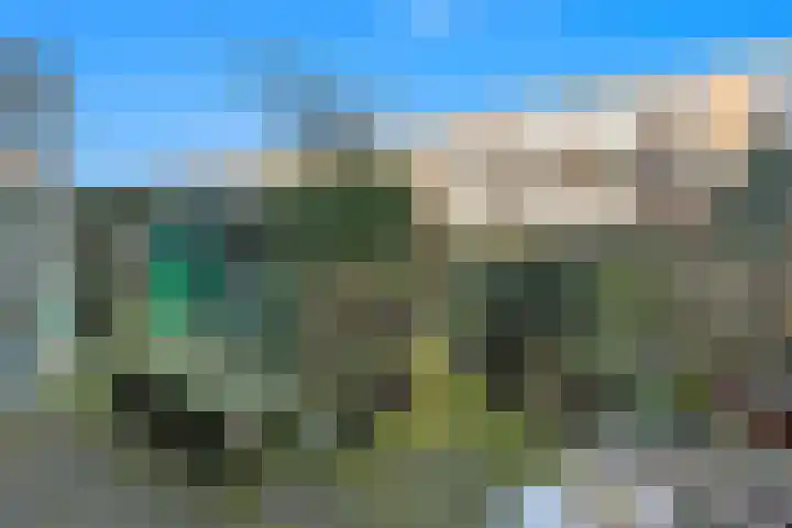Mient 37 Den Haag thumbnail 41