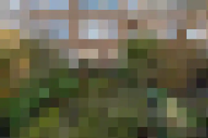 Mient 37 Den Haag thumbnail 42