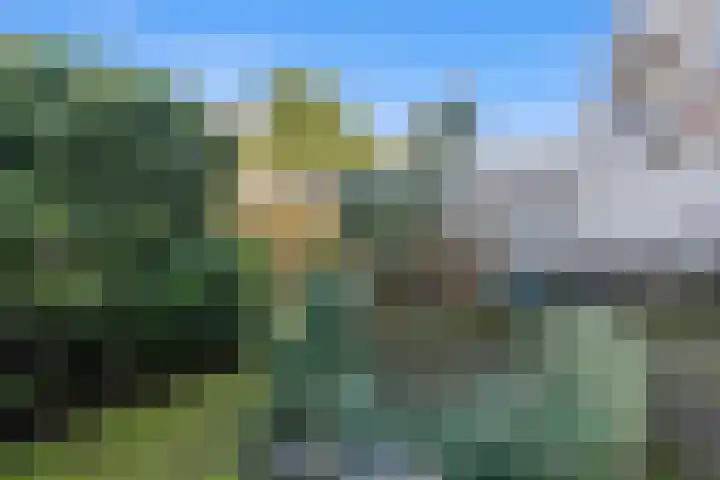 Mient 37 Den Haag thumbnail 43