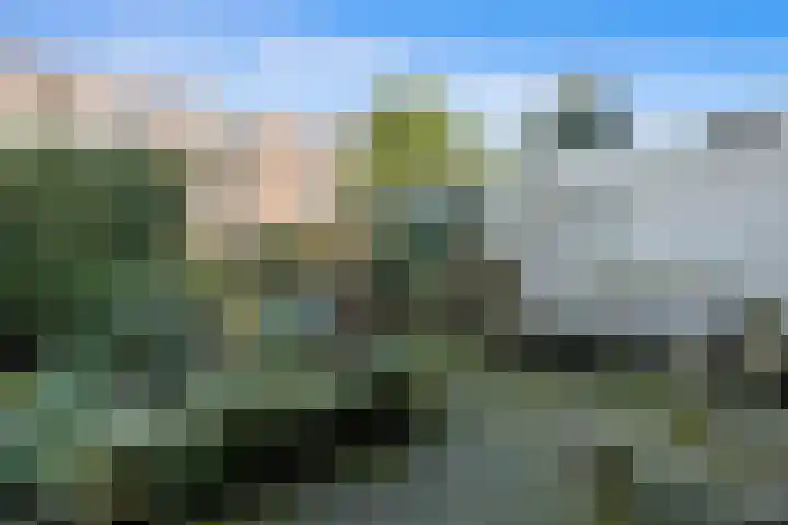 Mient 37 Den Haag thumbnail 44