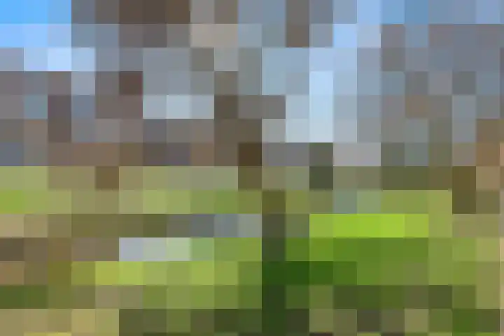 Mient 37 Den Haag thumbnail 47