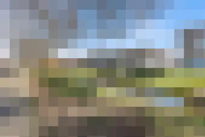 Mient 37 Den Haag thumbnail 48