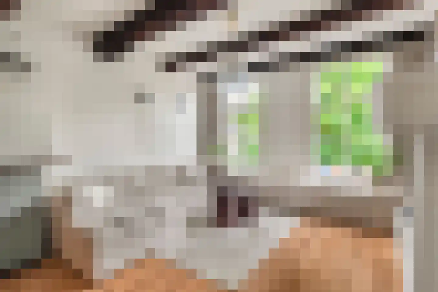 Mient 4 A Alkmaar thumbnail 11