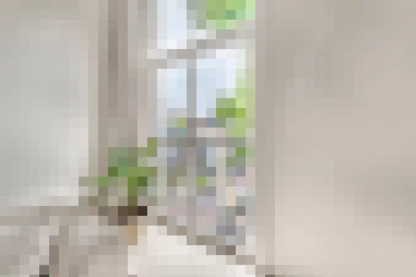 Mient 4 A Alkmaar thumbnail 12