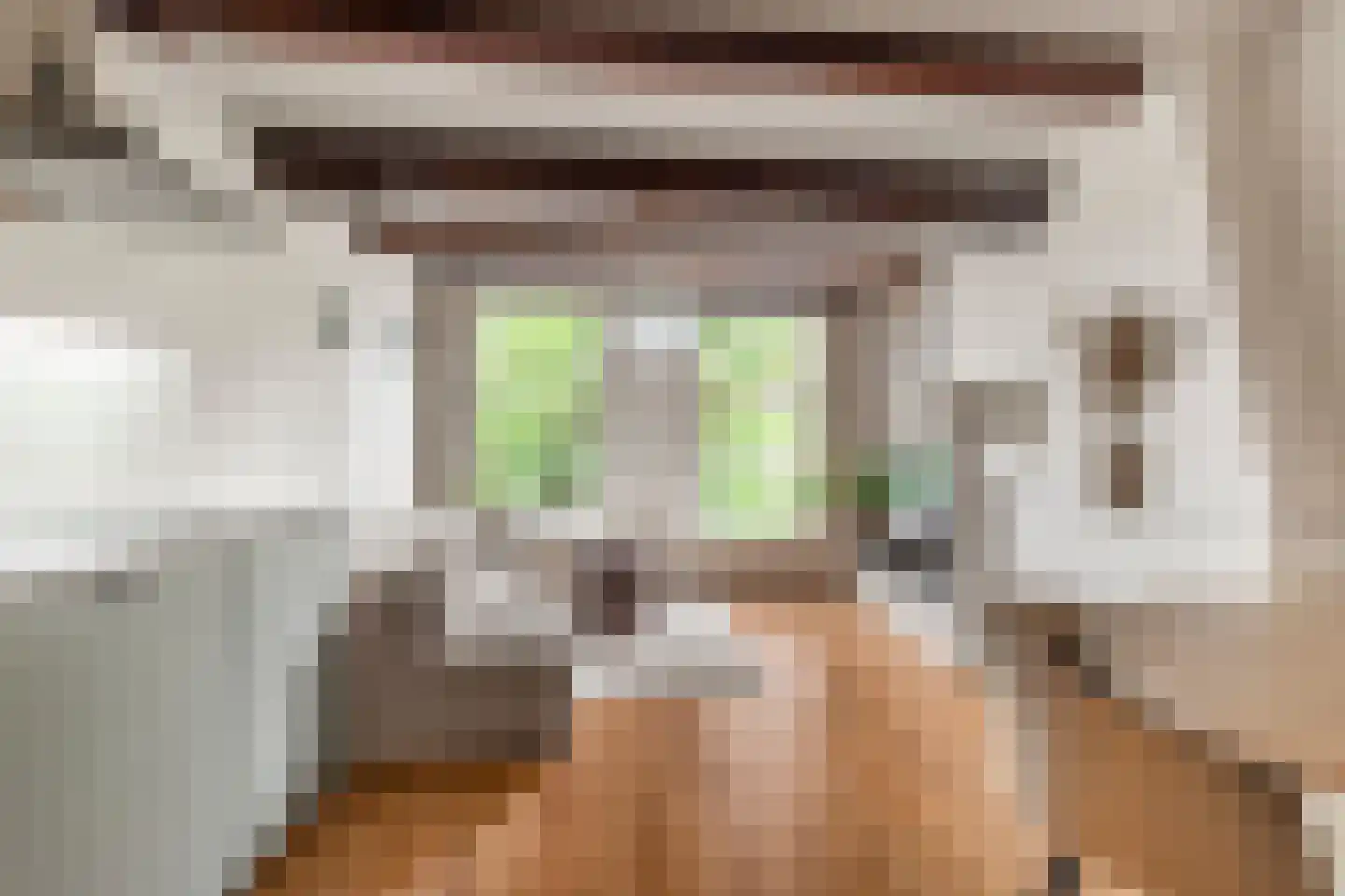 Mient 4 A Alkmaar thumbnail 14
