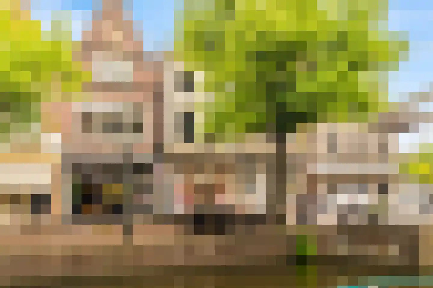 Mient 4 A Alkmaar thumbnail 20