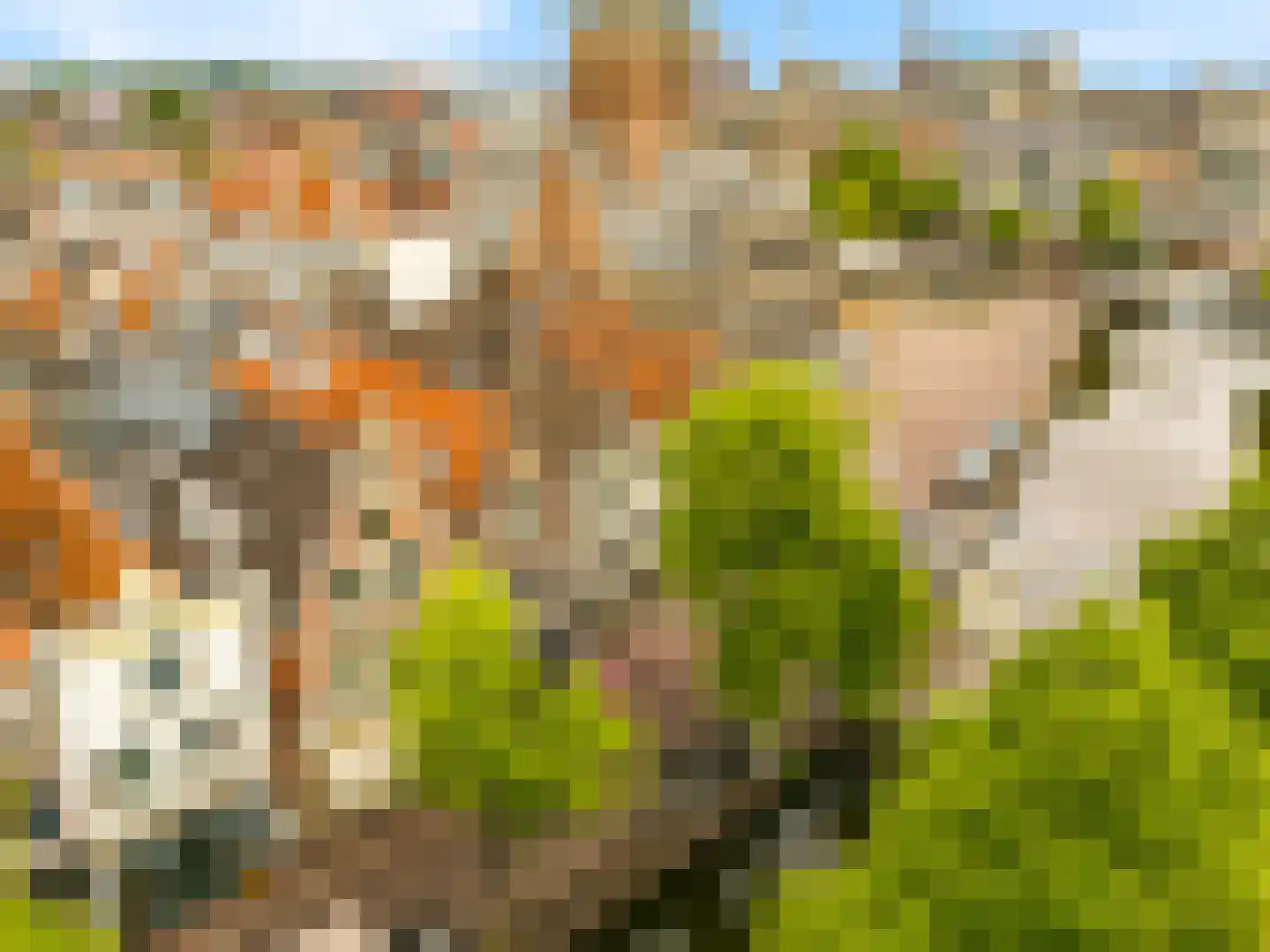 Mient 4 A Alkmaar thumbnail 22