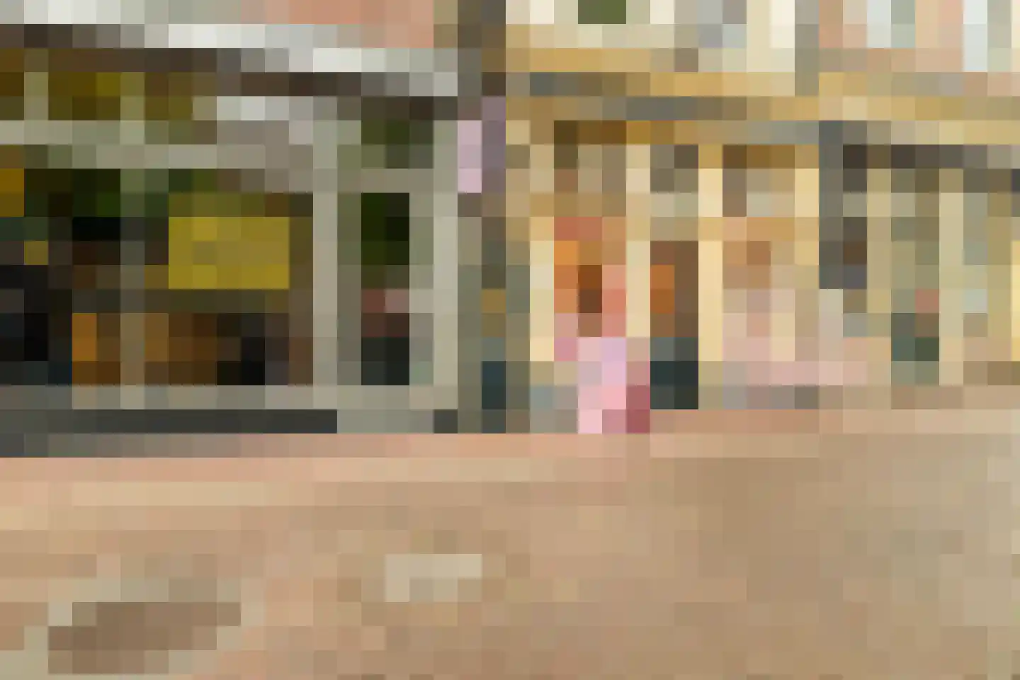 Mient 4 A Alkmaar thumbnail 23
