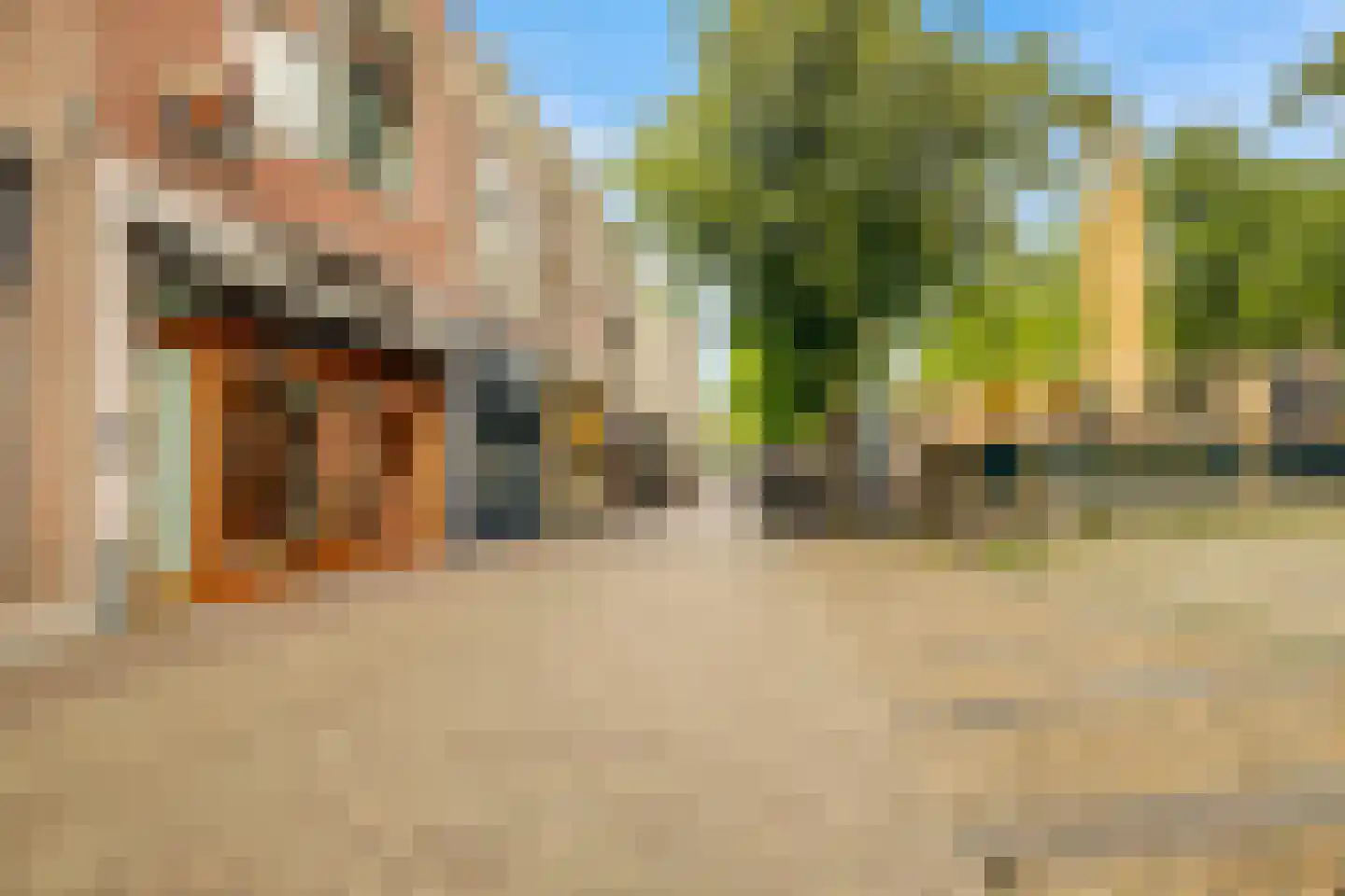 Mient 4 A Alkmaar thumbnail 24