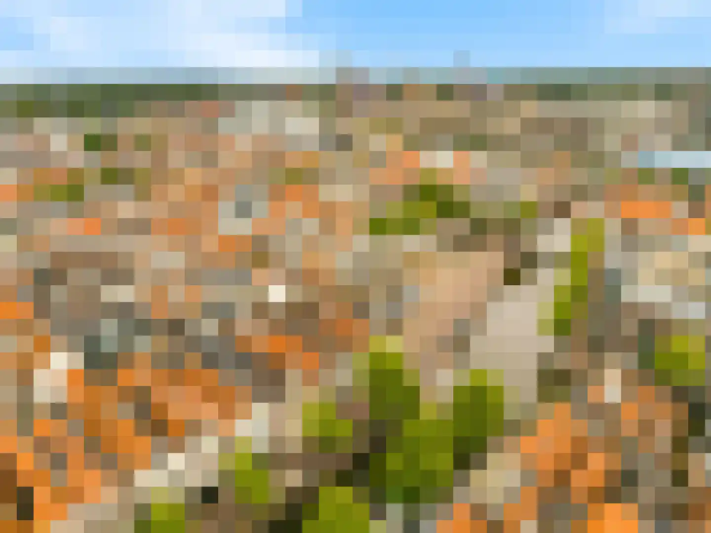 Mient 4 A Alkmaar thumbnail 26
