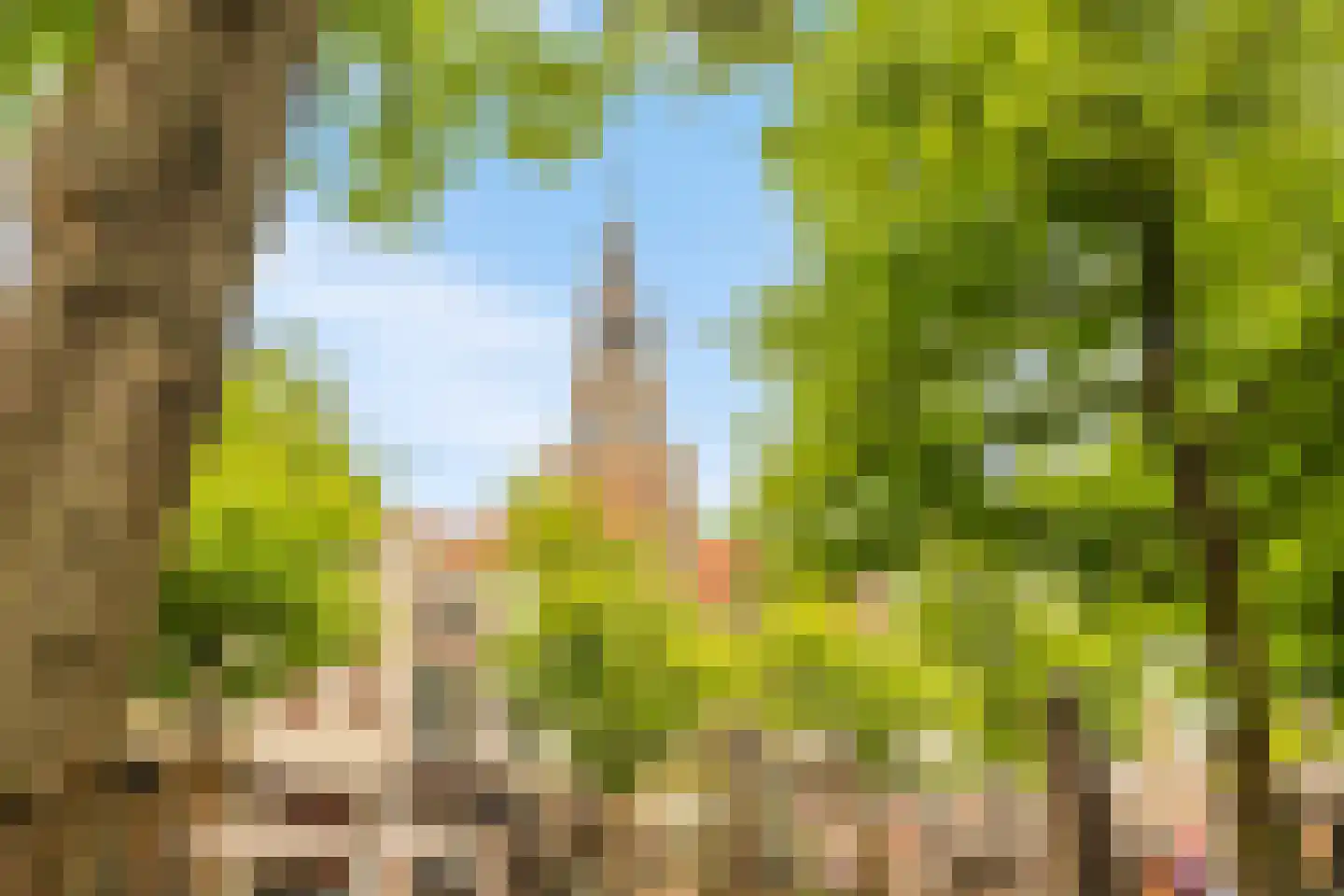 Mient 4 A Alkmaar thumbnail 5
