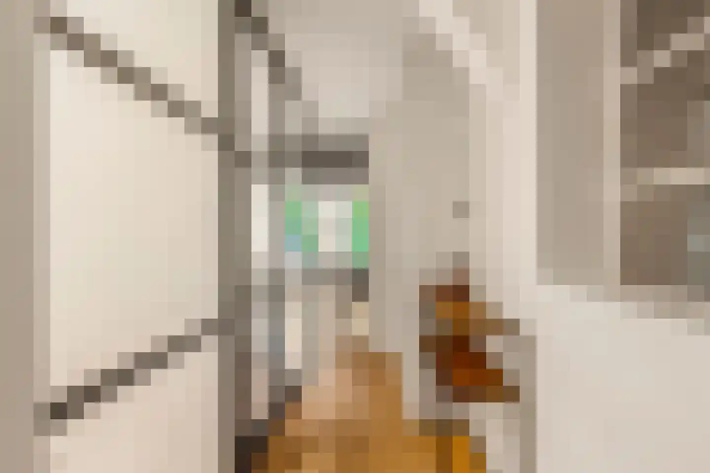 Mient 4 A Alkmaar thumbnail 6