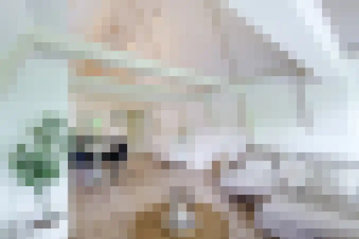Mient 4 C Alkmaar thumbnail 10