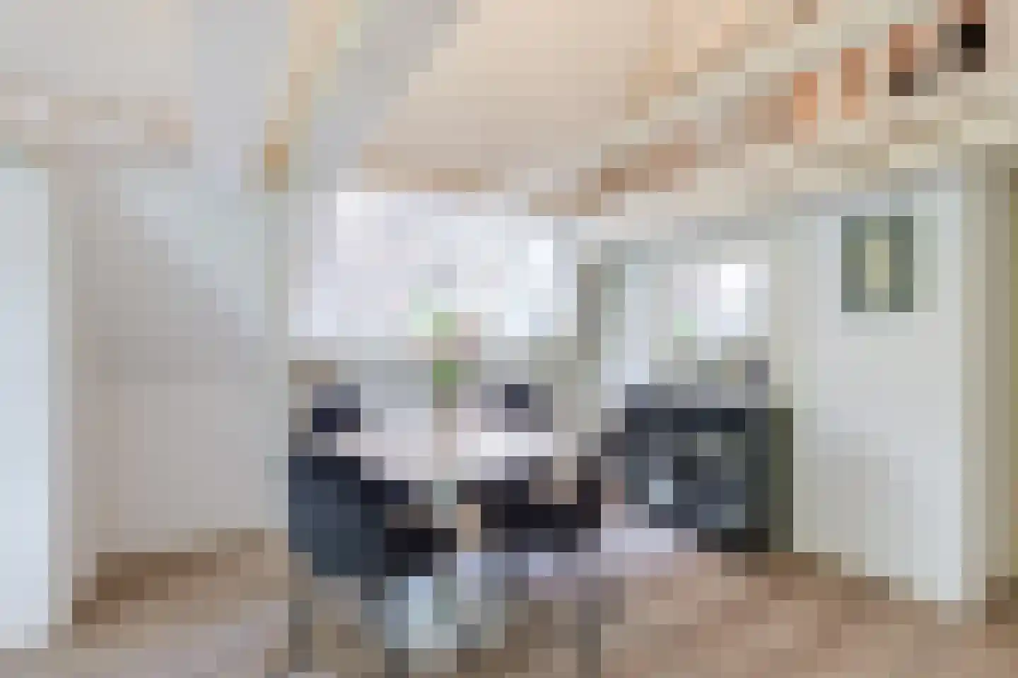 Mient 4 C Alkmaar thumbnail 11