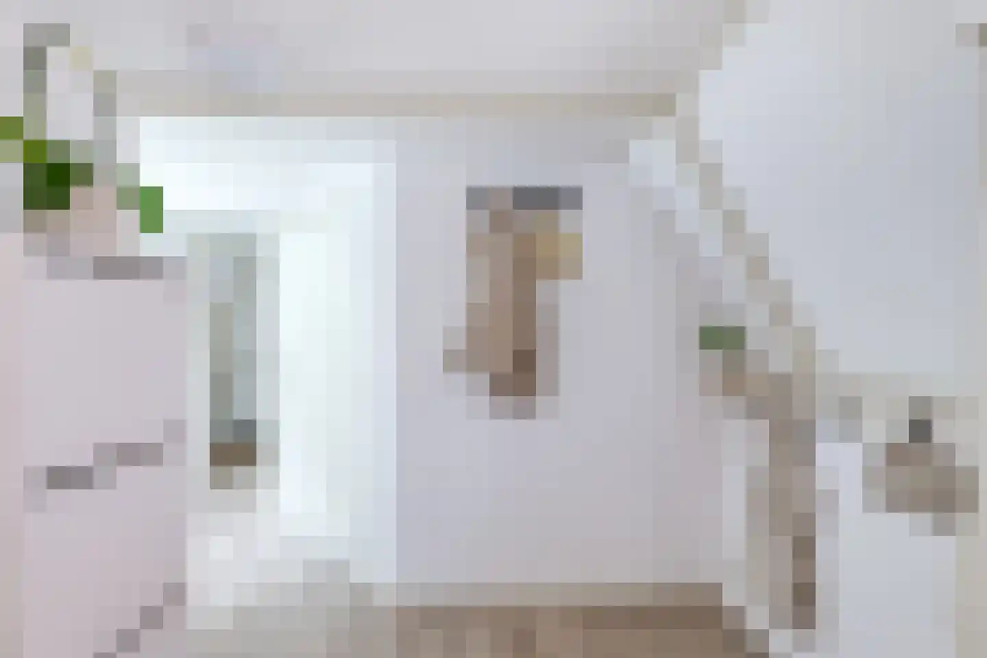 Mient 4 C Alkmaar thumbnail 13