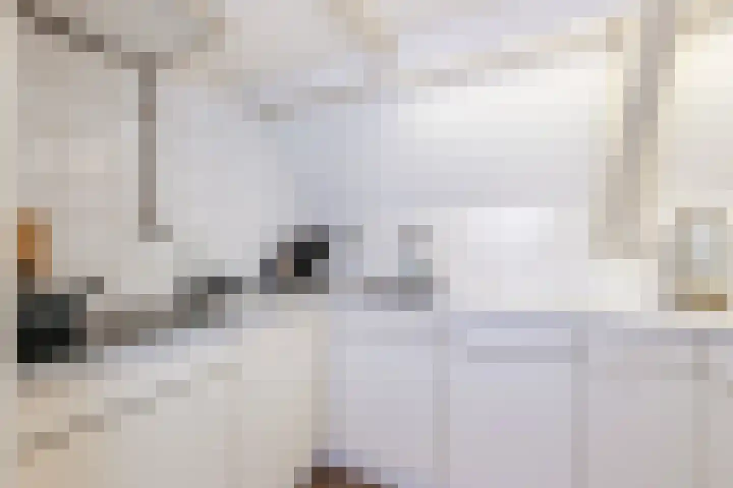 Mient 4 C Alkmaar thumbnail 15