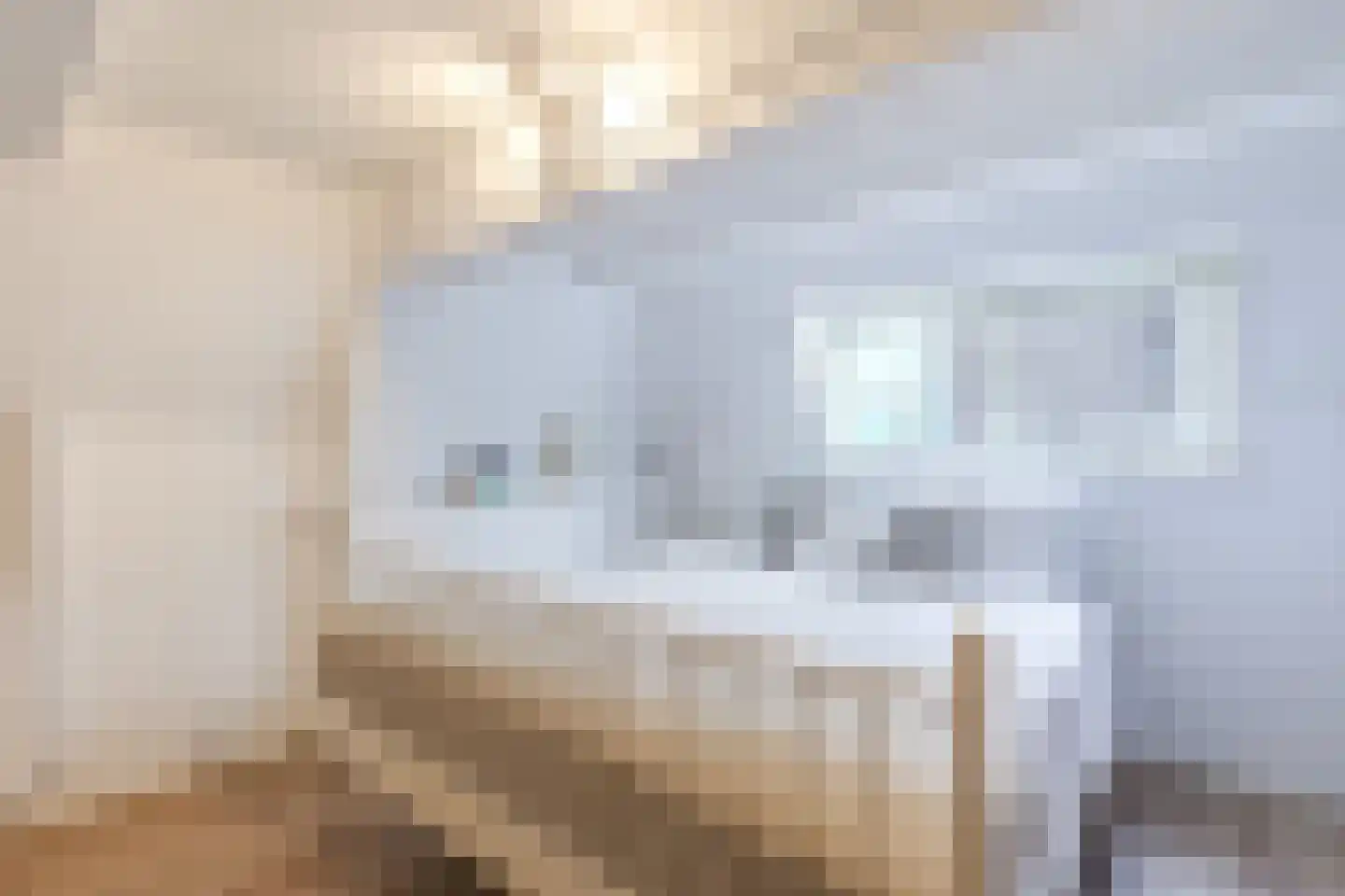 Mient 4 C Alkmaar thumbnail 19