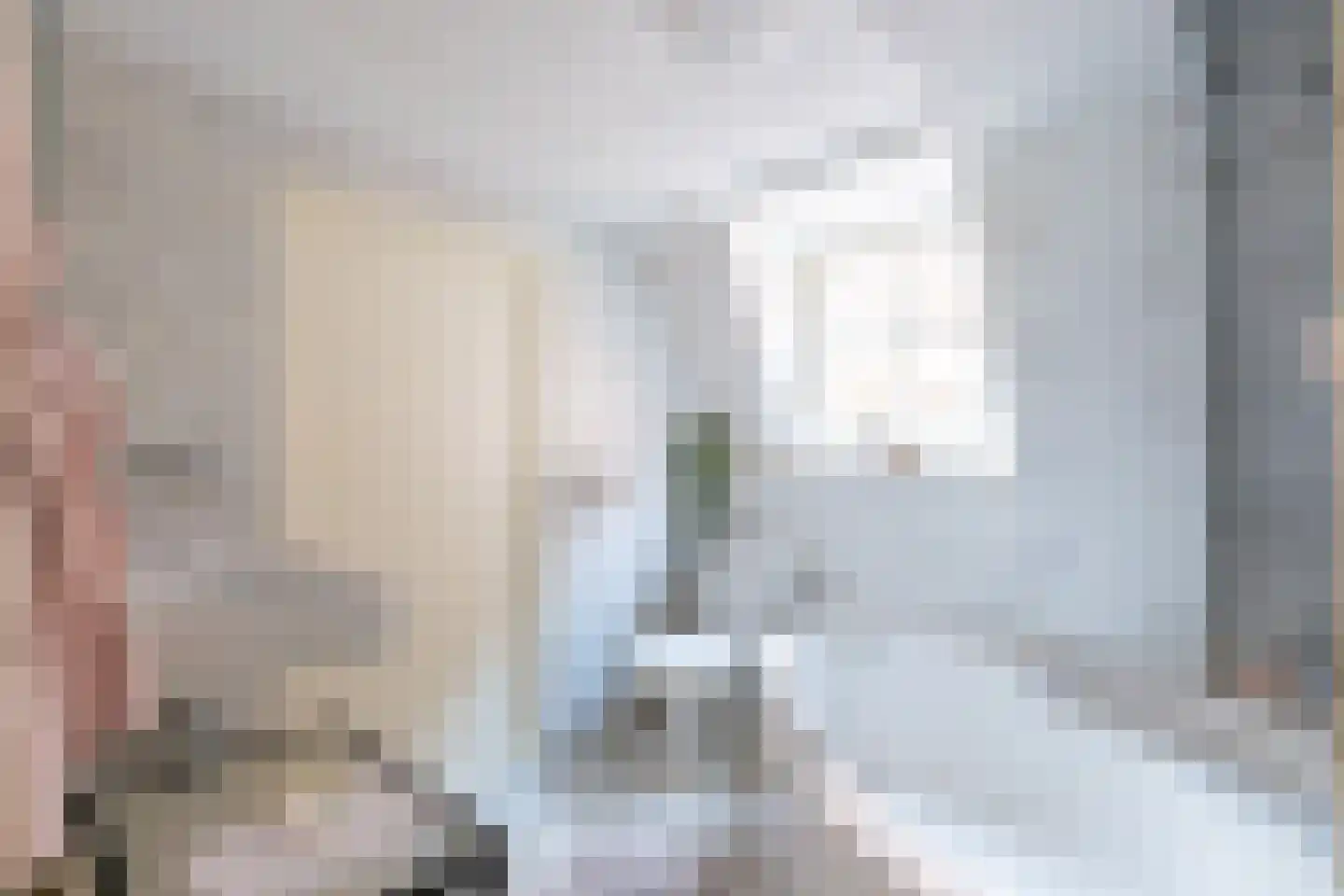 Mient 4 C Alkmaar thumbnail 21