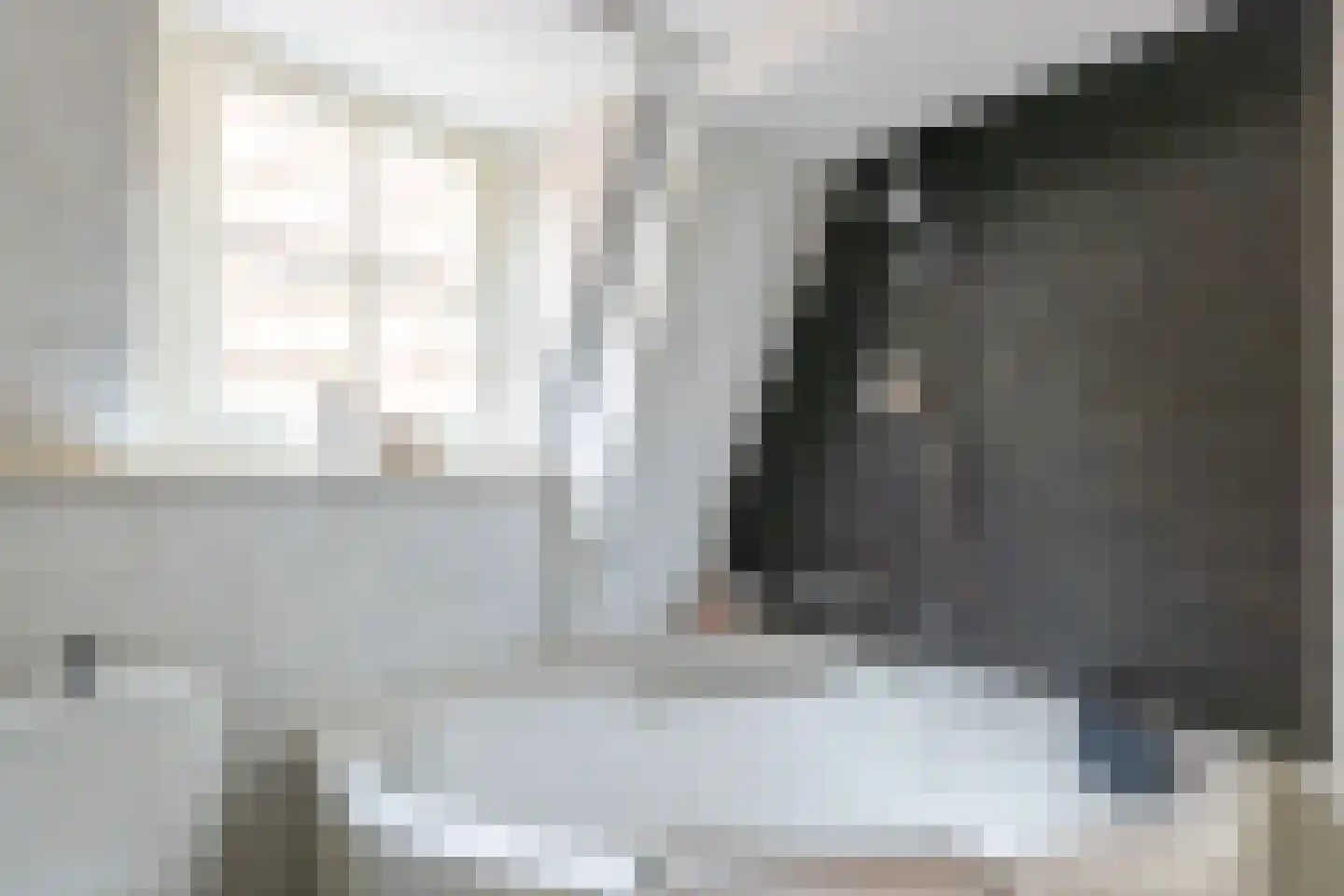 Mient 4 C Alkmaar thumbnail 22