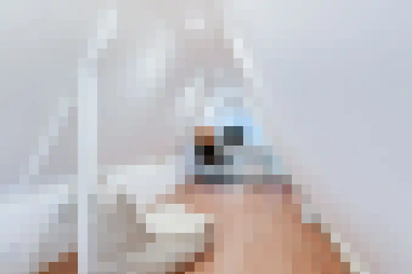 Mient 4 C Alkmaar thumbnail 25