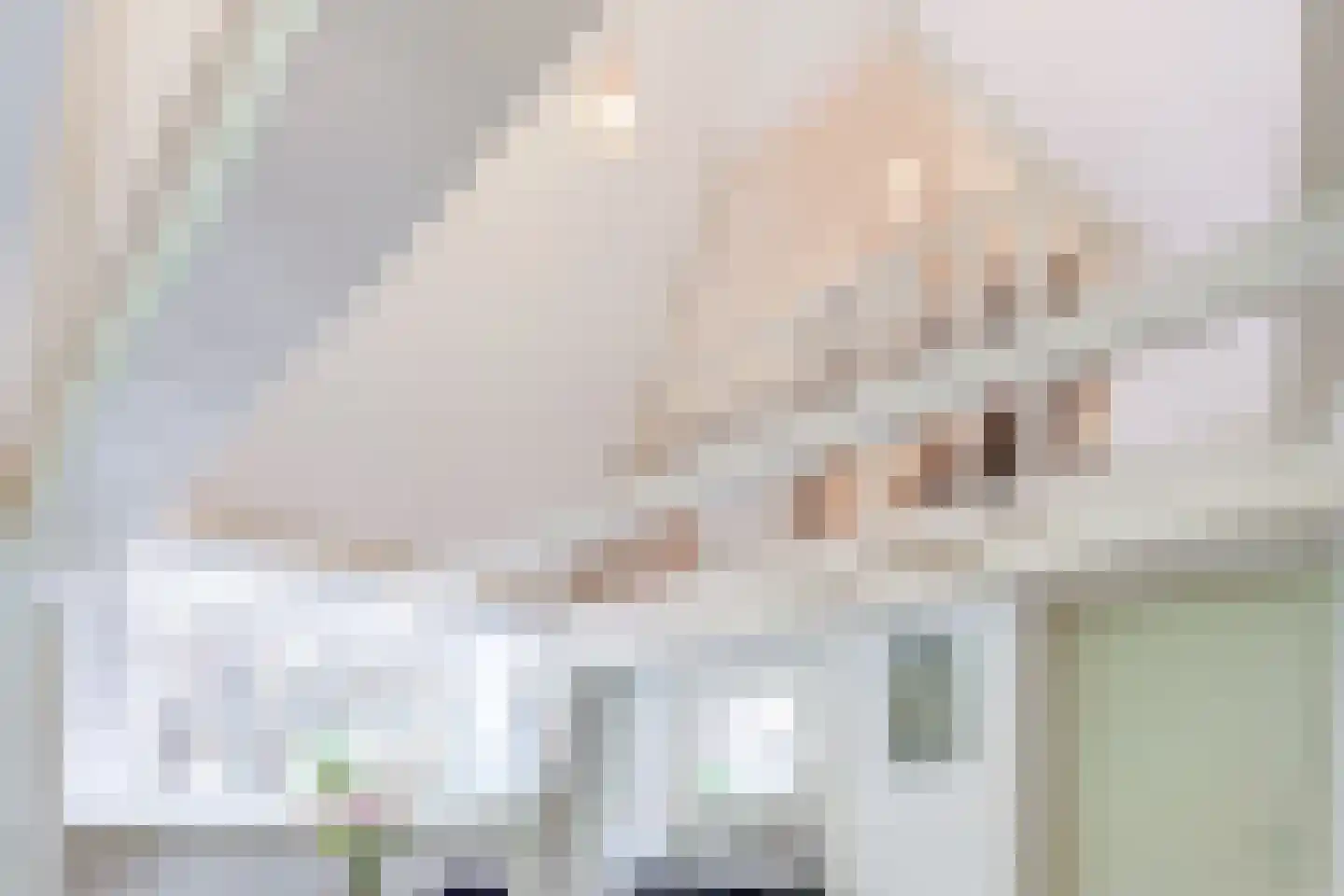 Mient 4 C Alkmaar thumbnail 27
