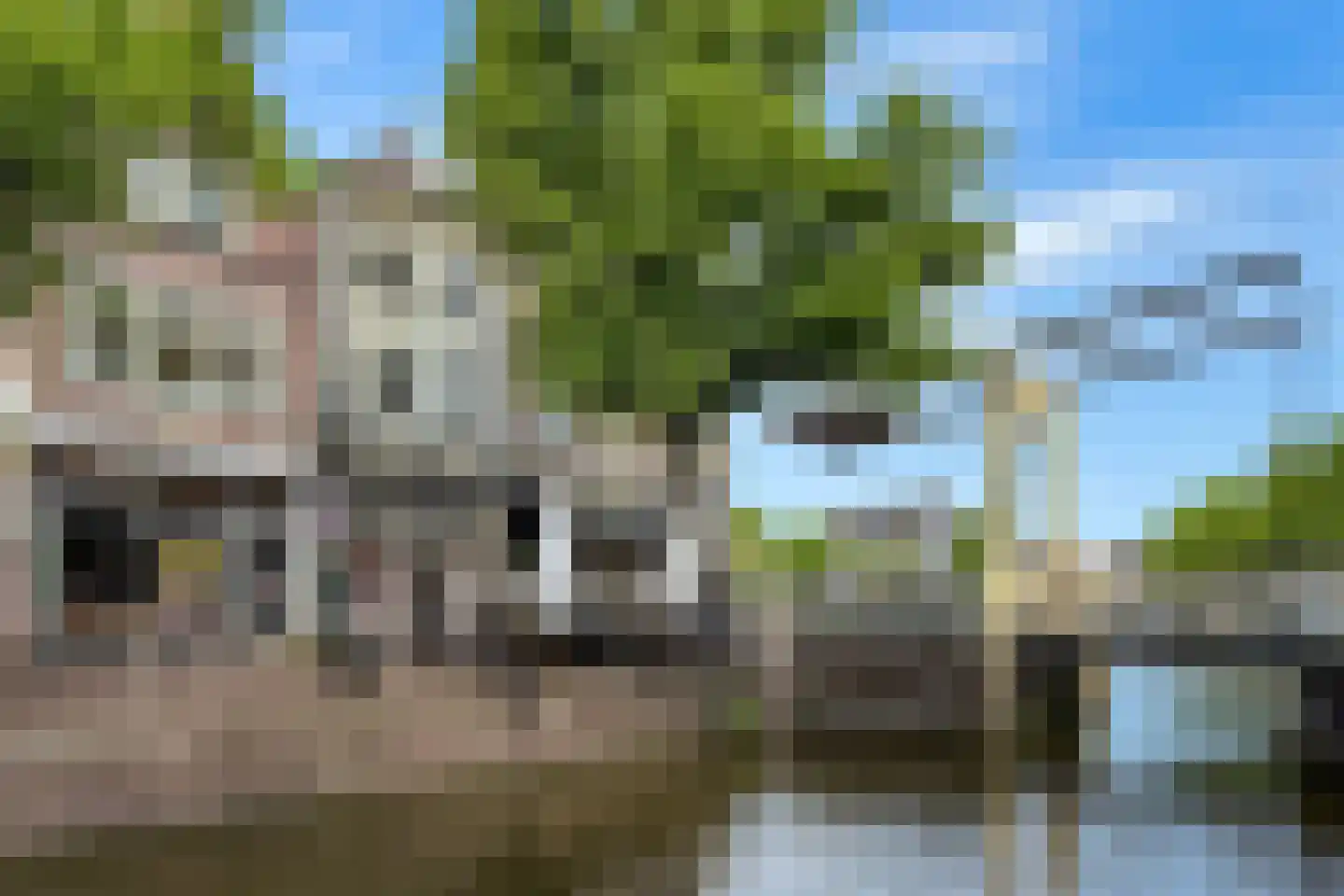 Mient 4 C Alkmaar thumbnail 28