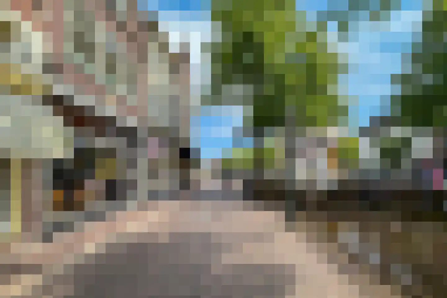 Mient 4 C Alkmaar thumbnail 30